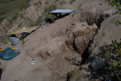 Site of a Large Fossil Site of a Large Fossil