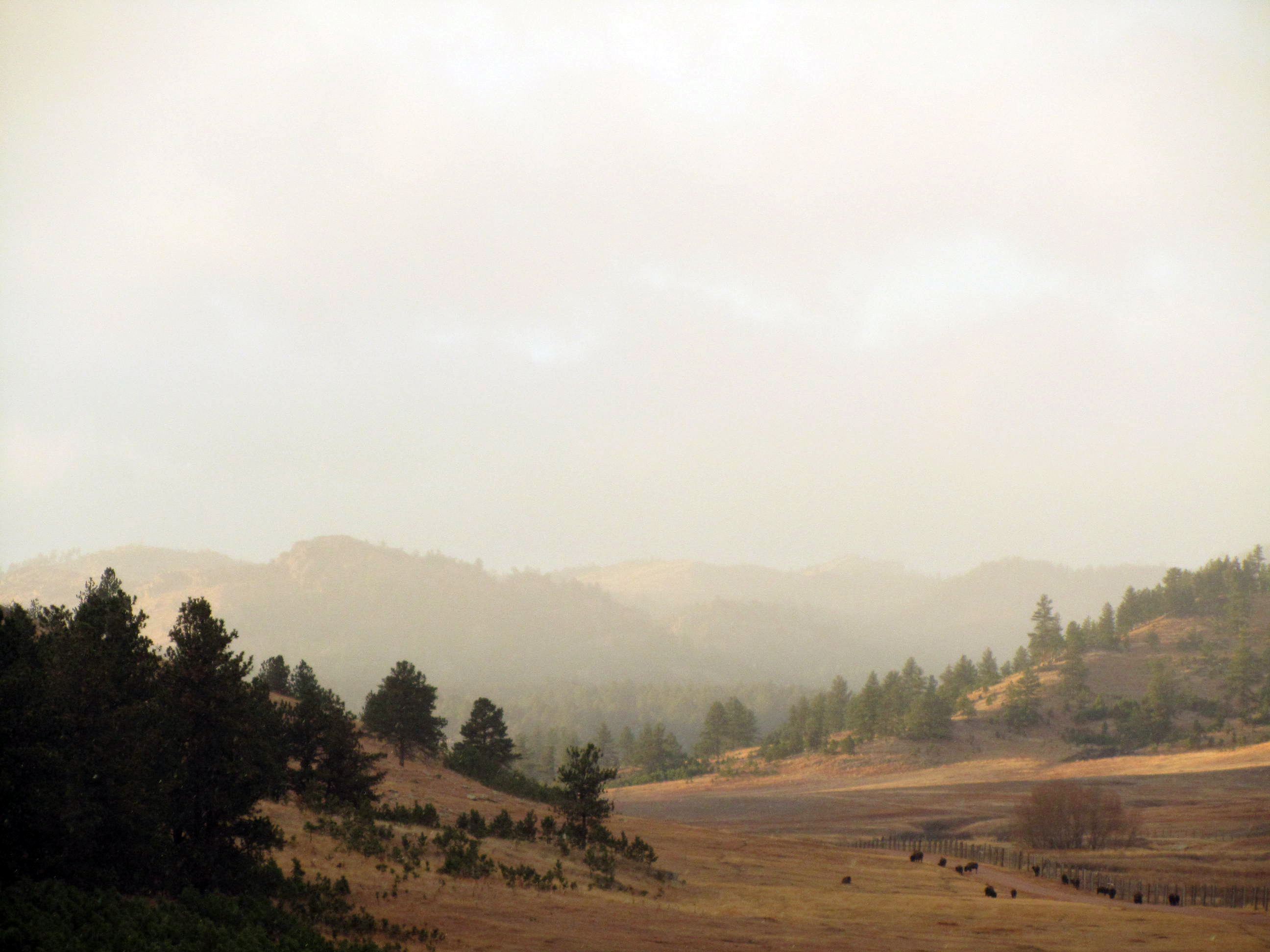 Storm-Coming-in-From-CSP-2.jpg?maxwidth\u003d650\u0026autorotate\u003dfalse