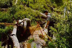 Setting Up a Stream for Electrofishing Setting Up a Stream for Electrofishing
