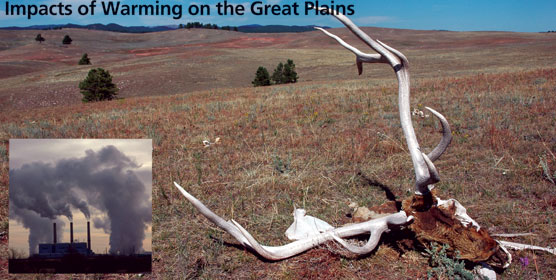 Elk Skull and Antlers, Factories with Smoke Stacks Elk Skull and Antlers, Factories with Smoke Stacks