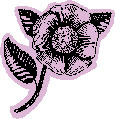 v3n2-flower v3n2-flower