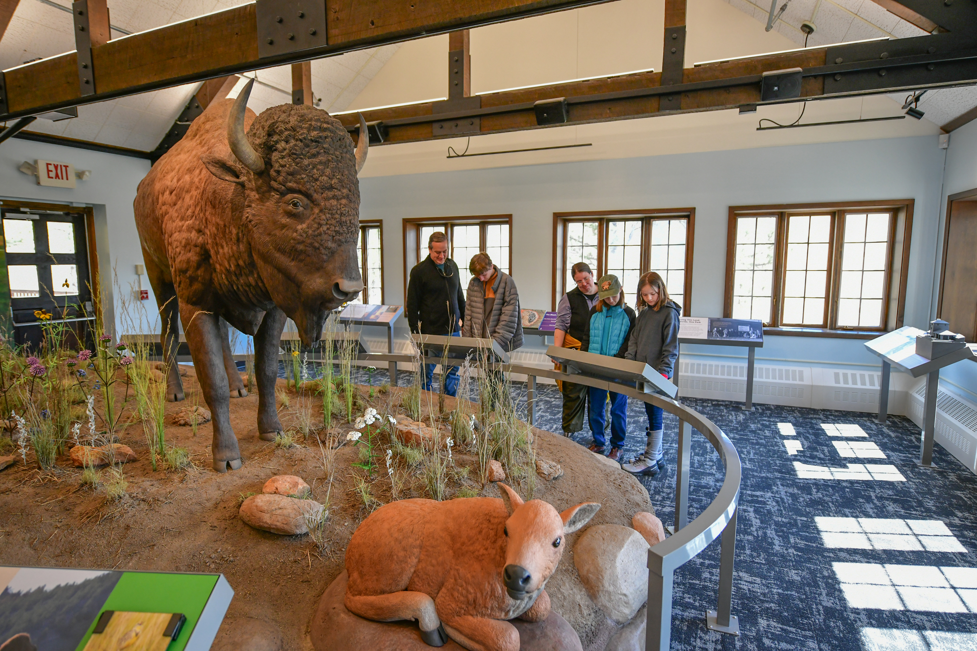 2024 Cover Photo a A large bison in a prairie diorama is in the center of the photo with a family of five near it reading some exhibit reading rails. Bright sunlight is streaming through the windows on the right side of the photo.