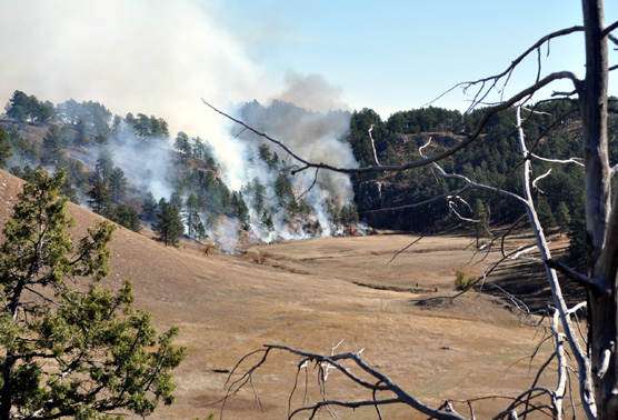 American Elk Burn October 2010 from Beaver Creek Bridge