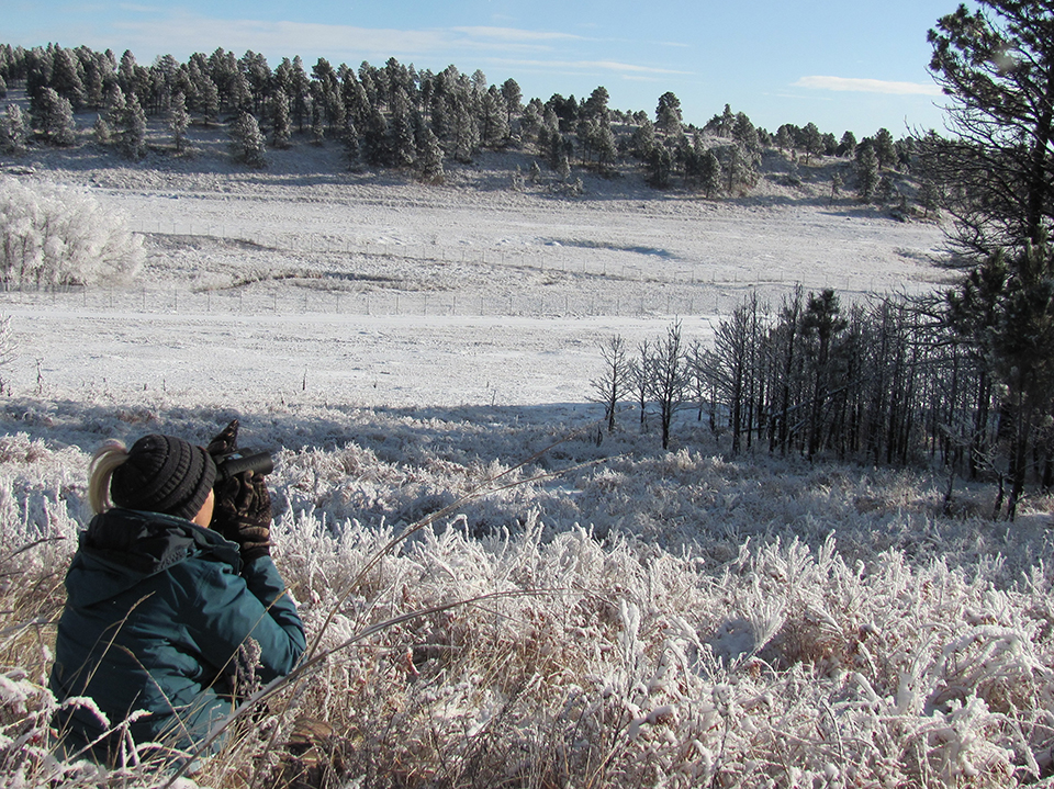 In the lower left corner of the photo is a woman wearing a green winter coat and stocking cap. She is sitting on the ground holding a black camera to her face pointing toward some pine trees on the photo’s right. A feathery frost coats the plants around h