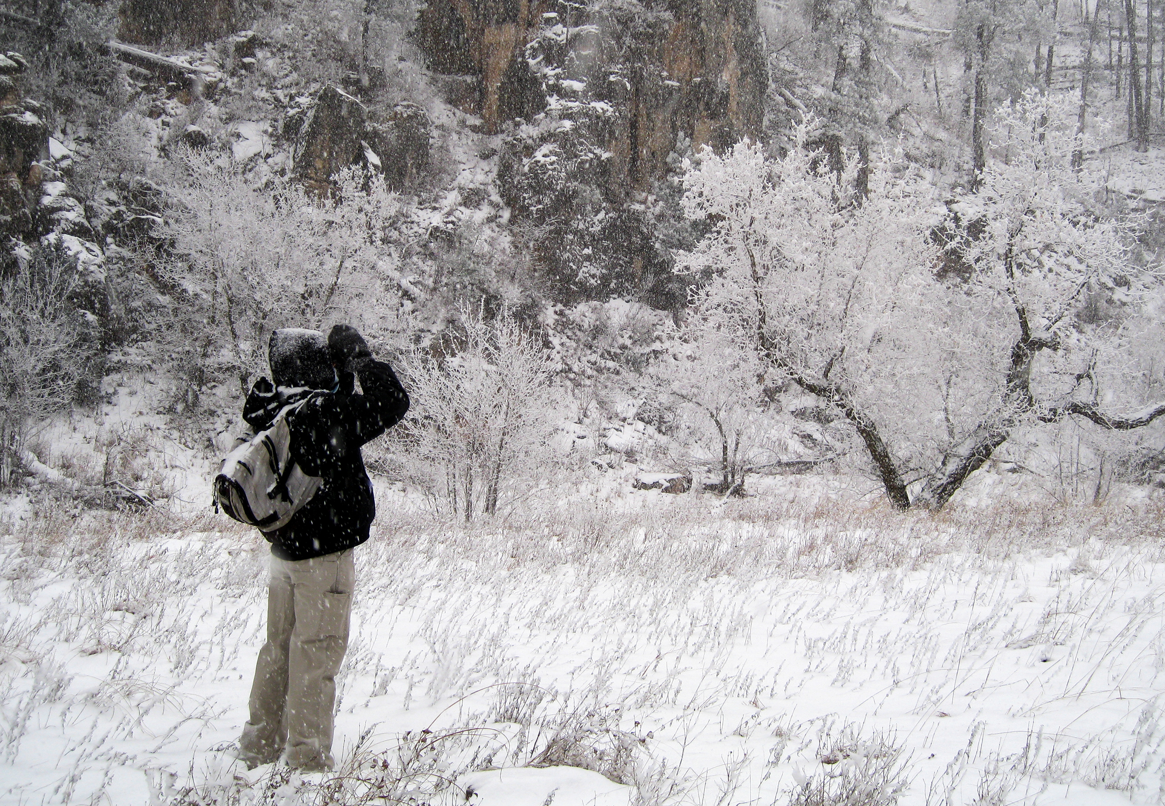 Snowy scene with a person dressed for cold weather looking through binoculars with frosted trees and a rock cliff face in the background. Snowy scene with a person dressed for cold weather looking through binoculars with frosted trees and a rock cliff face in the background.