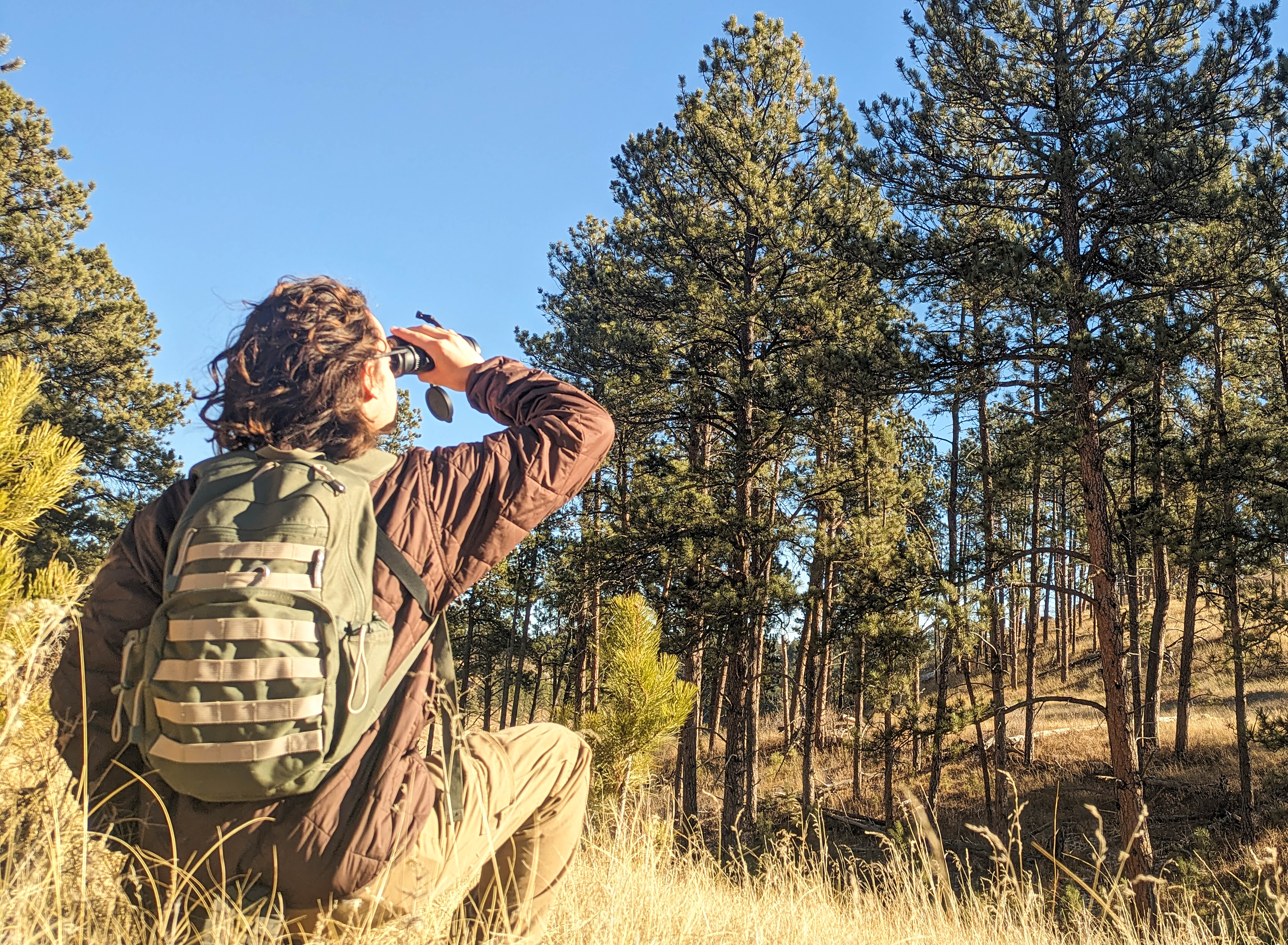 A man dressed in a brown jacket wearing a green and white pack is crouched down in yellow grass while looking through binoculars at some tall pine trees on the photo’s right. A man dressed in a brown jacket wearing a green and white pack is crouched down in yellow grass while looking through binoculars at some tall pine trees on the photo’s right.