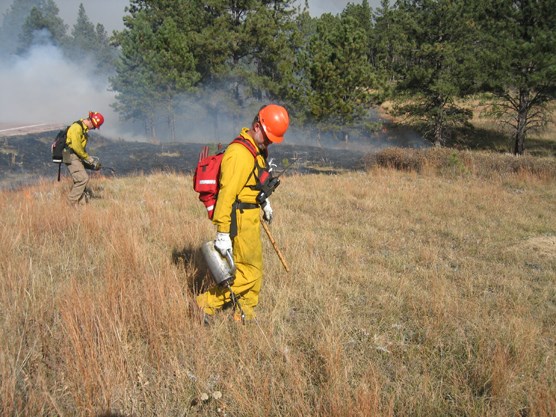 Two firefighters utilizing drip torches during prescribed burn operations