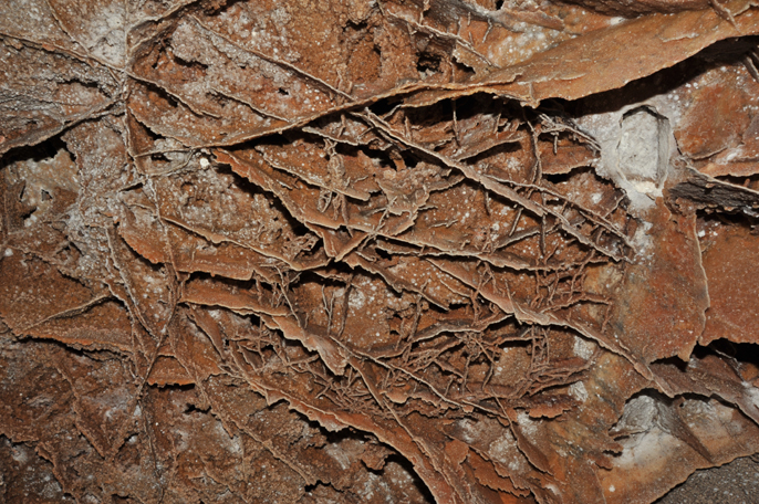 Brown boxwork hangs from the ceiling.