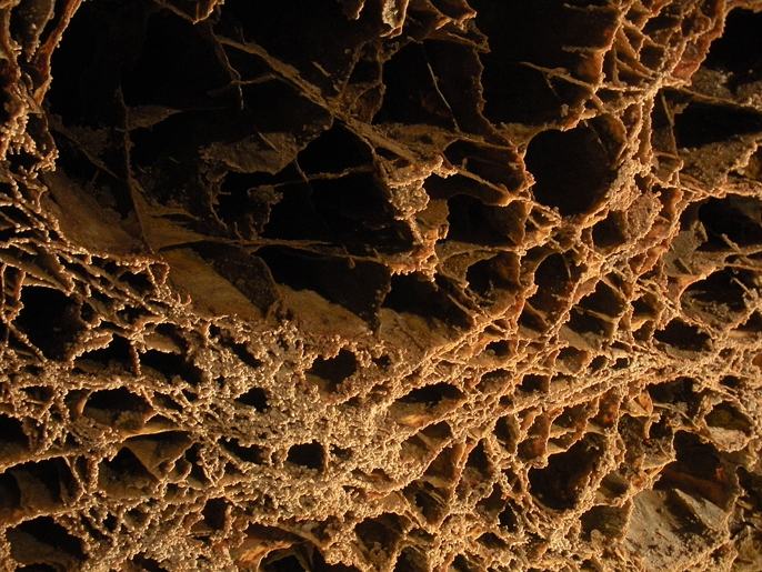 Boxwork hanging from the ceiling in Wind Cave.