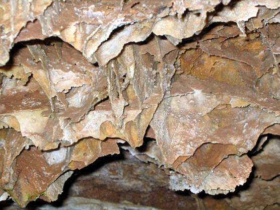 An example of the cave formation boxwork.