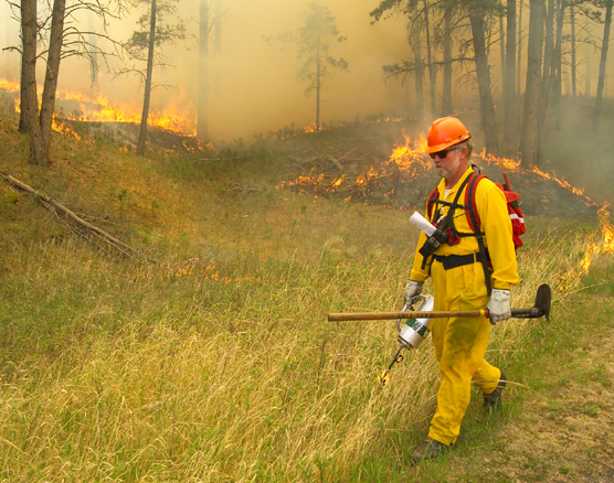 Firefighter walks through grass with a drip torch setting a prescribed fire.