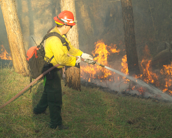 Firefighter holding a hose and spraying water on flames down the hill from him.