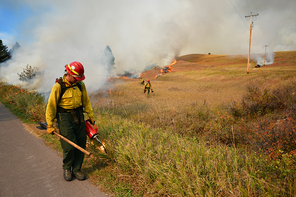 In center of photo is a man dressed in a yellow shirt and green pants wearing a bright red helmet and holding a drip torch in one hand and tool in the other. He's looking down as his drip torch catches the grass on fire.