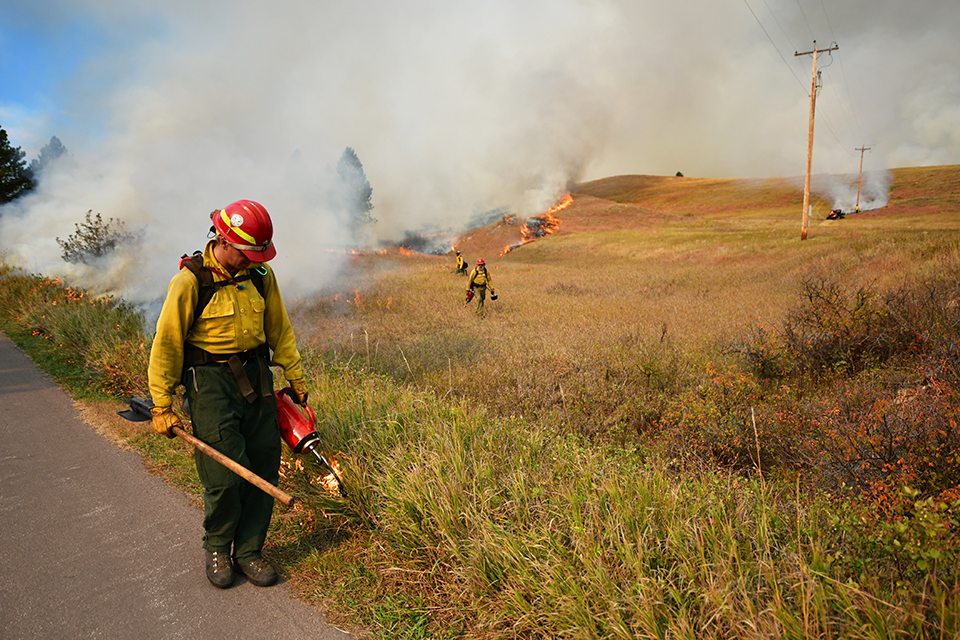 : In center of photo is a man dressed in a yellow shirt and green pants wearing a bright red helmet and holding a drip torch in one hand and tool in the other. He's looking down as his drip torch catches the grass on fire. In center of photo is a man dressed in a yellow shirt and green pants wearing a bright red helmet and holding a drip torch in one hand and tool in the other. He's looking down as his drip torch catches the grass on fire.