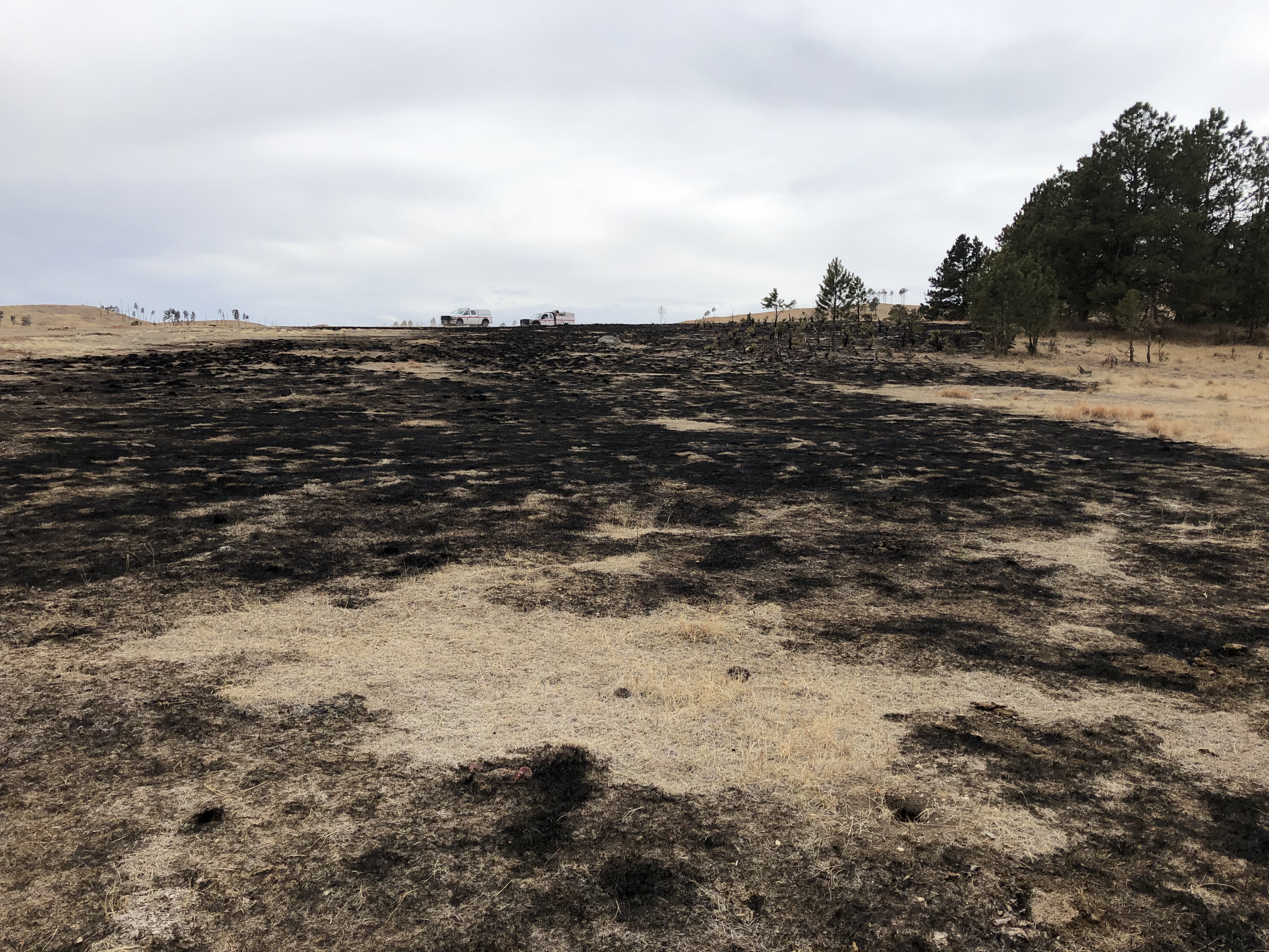 Looking uphill at a prairie, mostly burnt but with some patches of unburnt grass, with a few pine trees to the right. Fire engines in the distant background.
