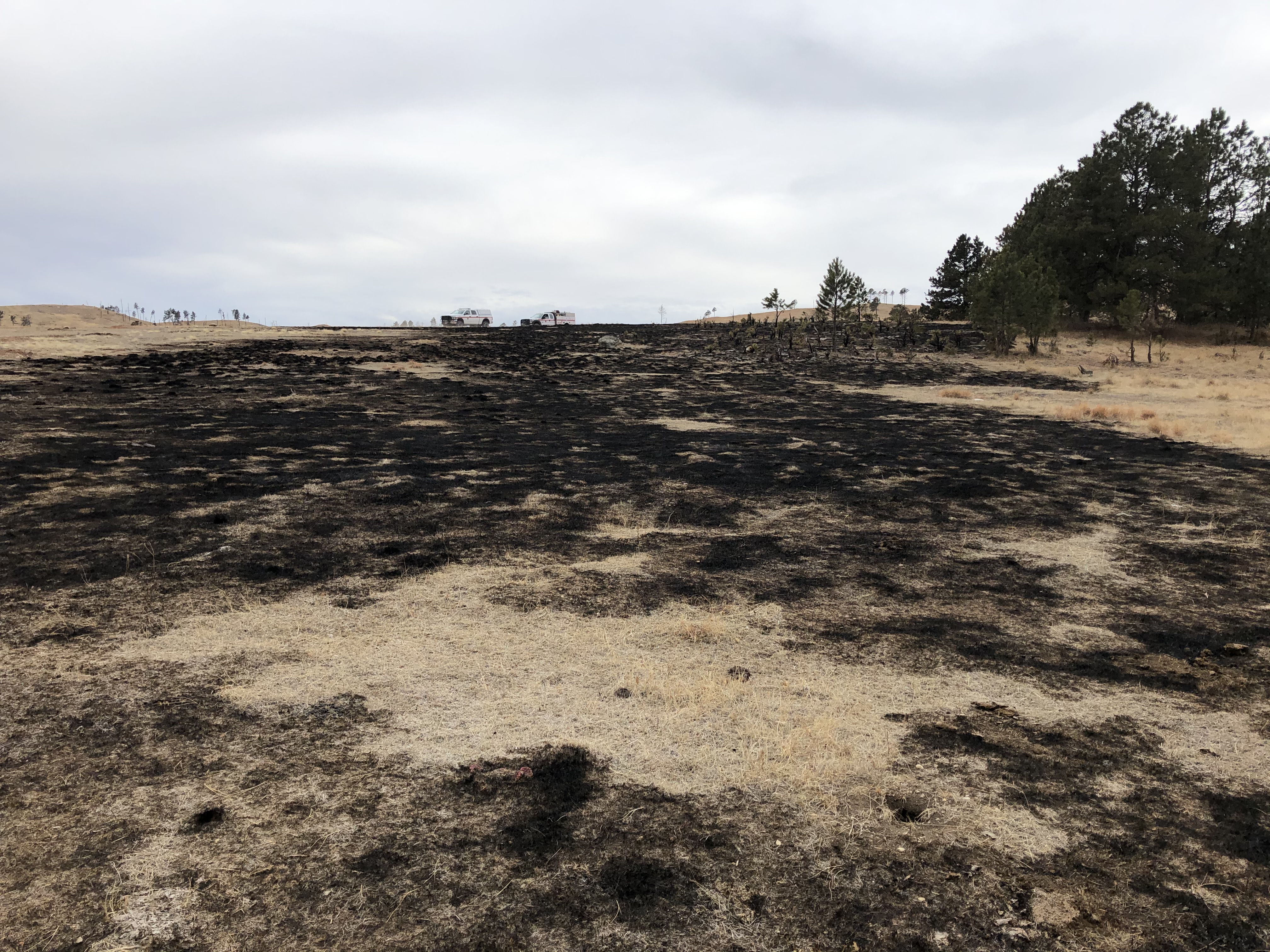 Looking uphill at a prairie, mostly burnt but with some patches of unburnt grass, with a few pine trees to the right. Fire engines in the distant background.