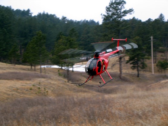 Helicopter from Leading Edge Aviation taking off to collar elk in Wind Cave National Park.