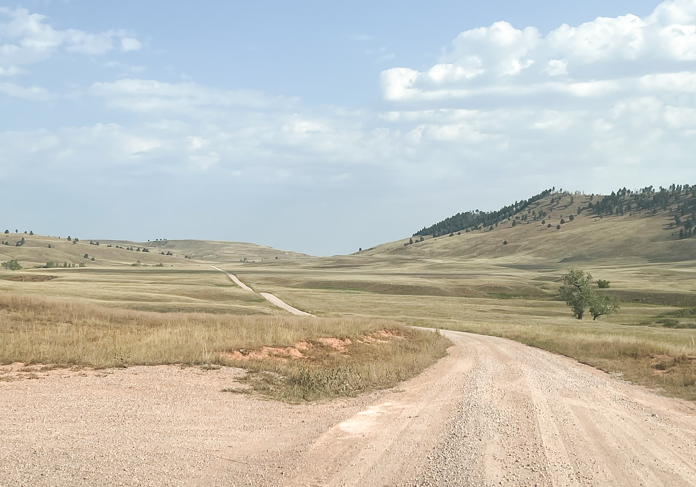 On the right is a gravel road leading away from the camera toward the distant horizon. The road passes through a green prairie with a forested ridge to the right. On the right is a gravel road leading away from the camera toward the distant horizon. The road passes through a green prairie with a forested ridge to the right.
