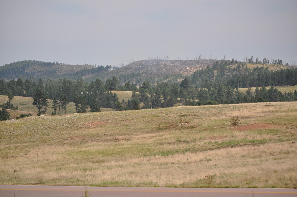 Prairie in the foreground with rolling hills with green trees and one hillside that appears burnt with wisps of smoke over it