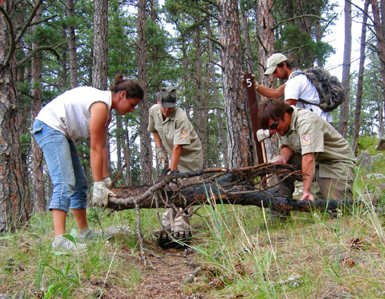 Wind Cave’s SCA trail crew, (left to right) Laura Wood, Matt Andrasi, Tyler Scott, and Matt Hornfeck, working on trail in pine forest