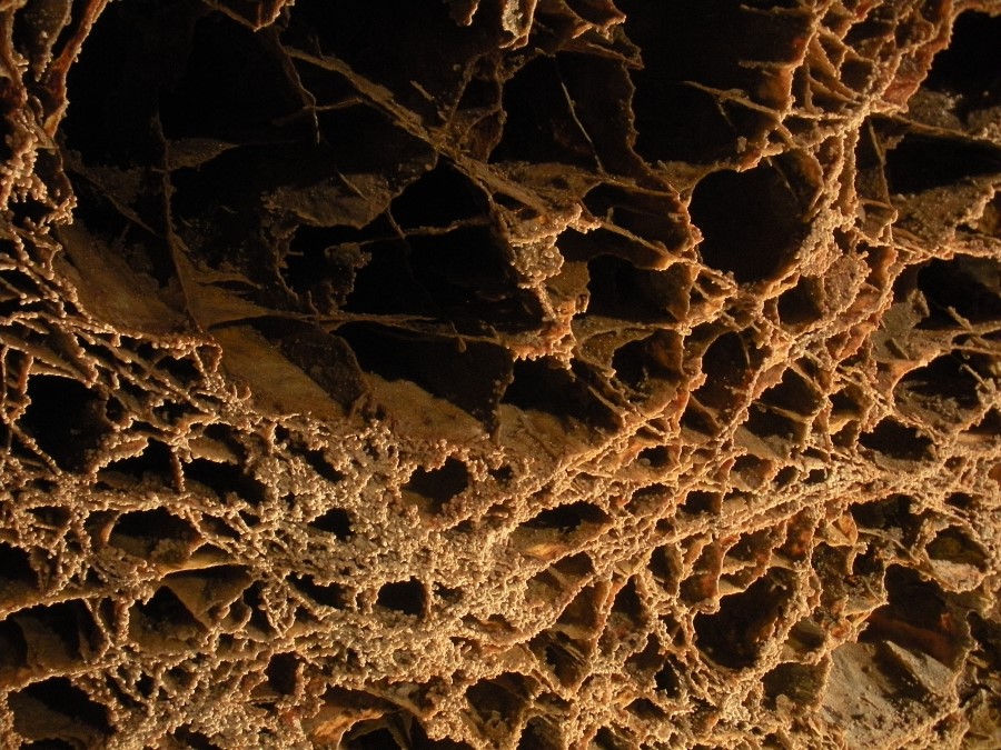 Close up photo of boxwork, a honeycomb appearing calcite cave formation. The boxwork is golden brown with many small openings like post office boxes.