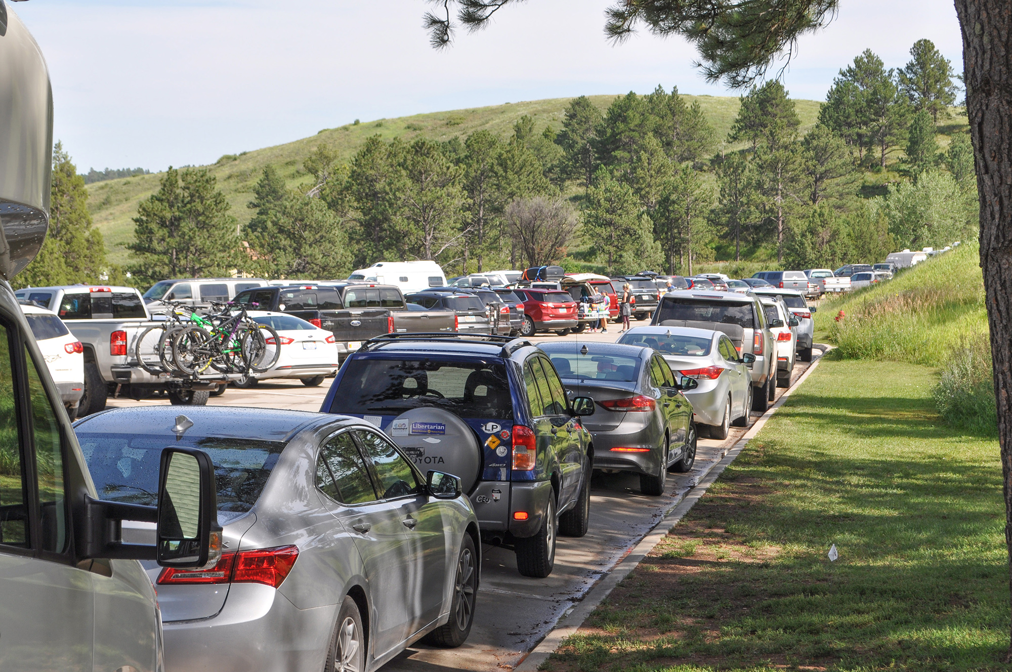 Crowded parking lot with two rows of cars facing away from the camera, a grass lawn to the right and a hill with green grass and ponderosa pine trees in the background.