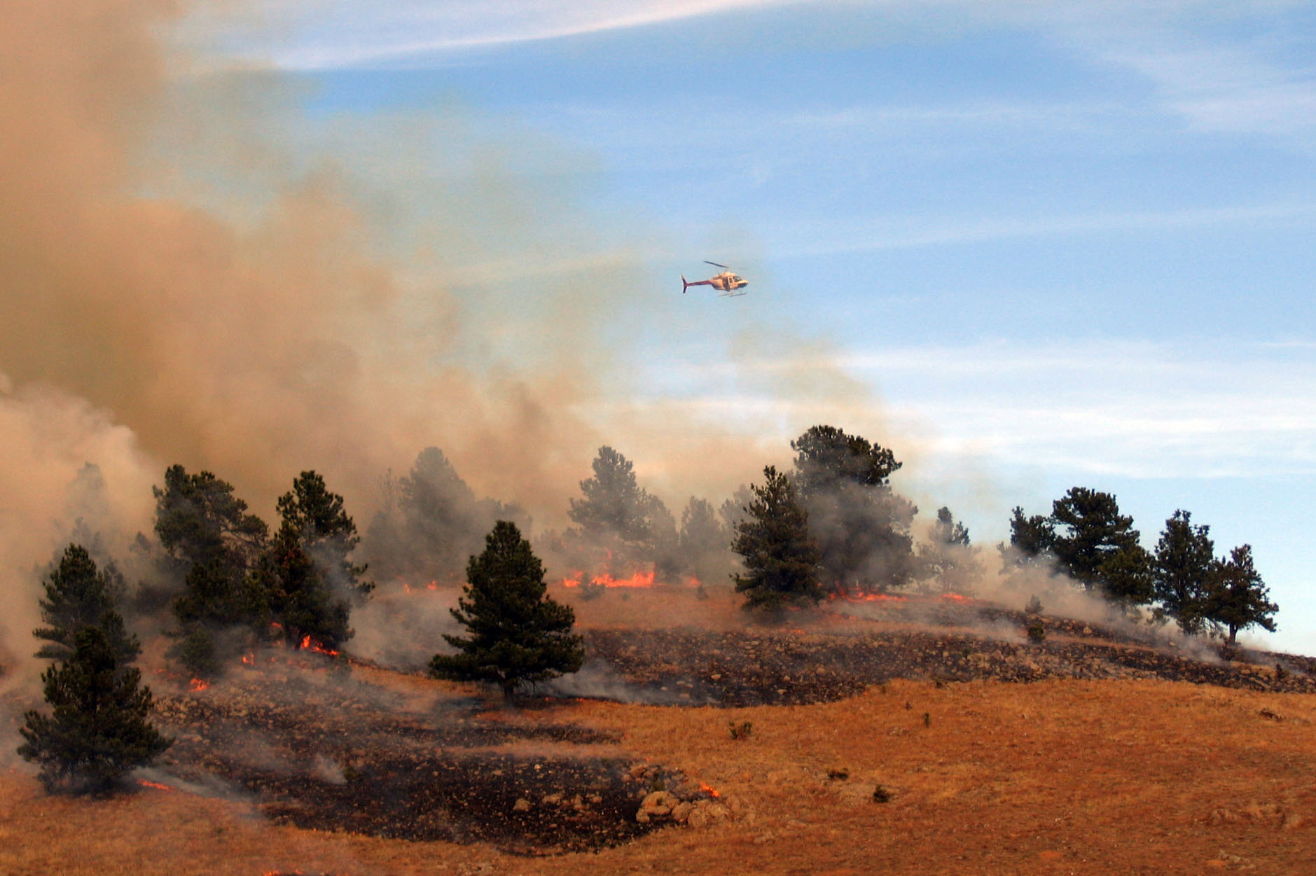 Wind Cave Plans to Use Prescribed Fire to Help Maintain a Healthy Forest