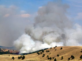 Smoke rising from the Hay Flats/Red Valley prescribed fire in Wind Cave National Park.