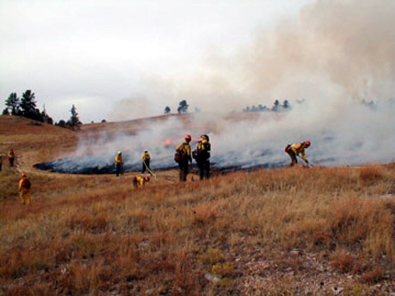 Firefighters conducting a prescribed burn in Wind Cave National Park.