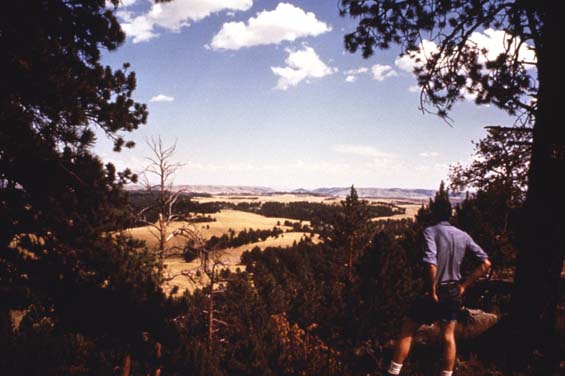 Man on ridge overlooking park