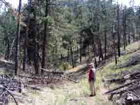 A hiker on one of Wind Cave National Park's many trails.