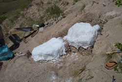 Large Fossils Jacketed