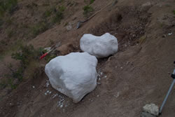 Fossils Ready to be Moved