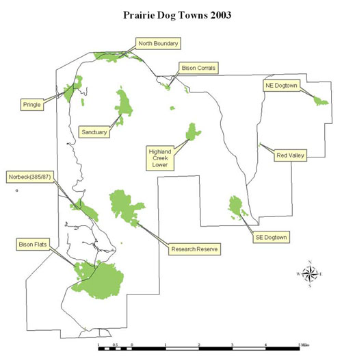 Prairie Dog Town Map