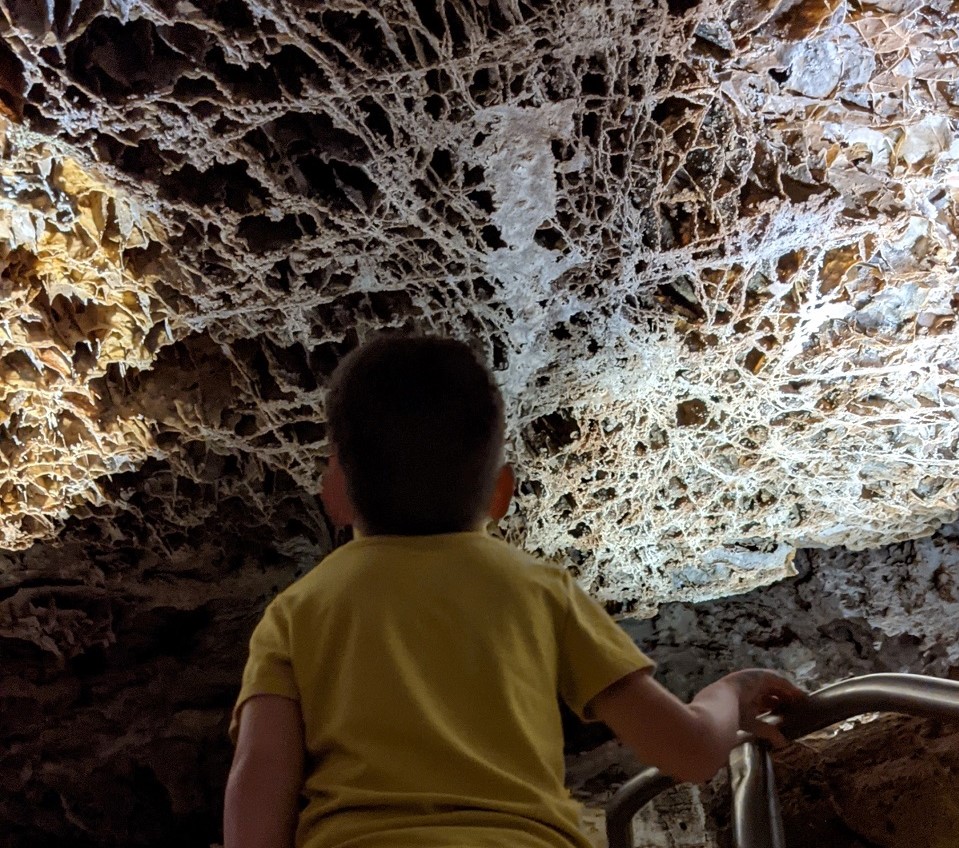 Guided Tours - Wind Cave National Park (U.S. National Park Service)
