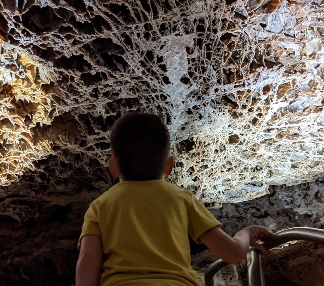 How Many Days Should I Spend in Wind Cave National Park?