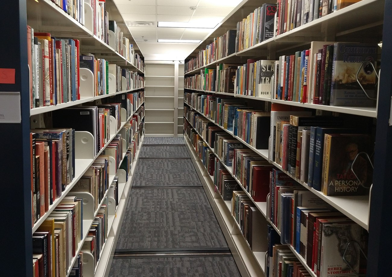 Two long library shelving units hold books