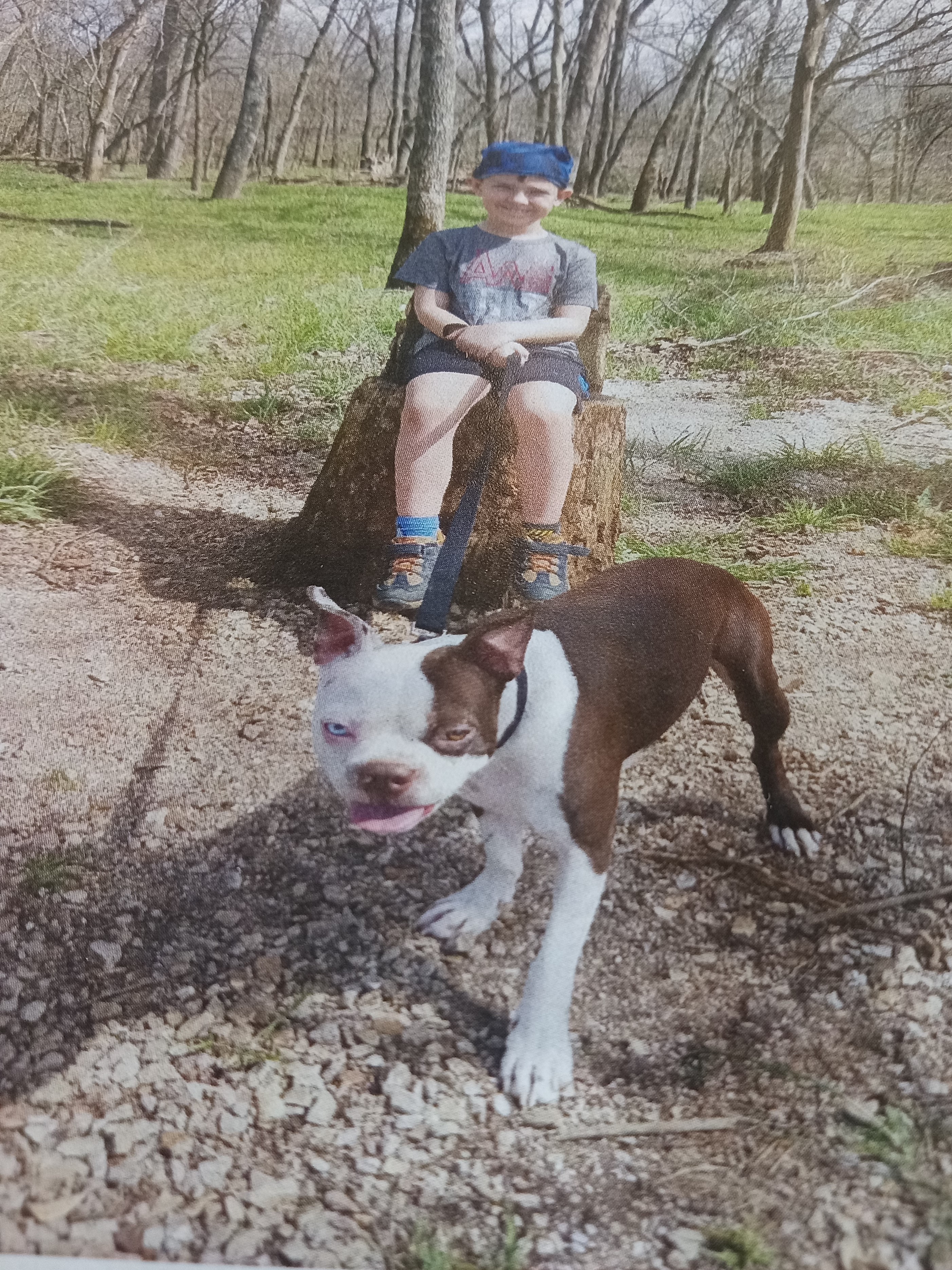 Photo of a young boy sitting on a log holding his dog's leash.