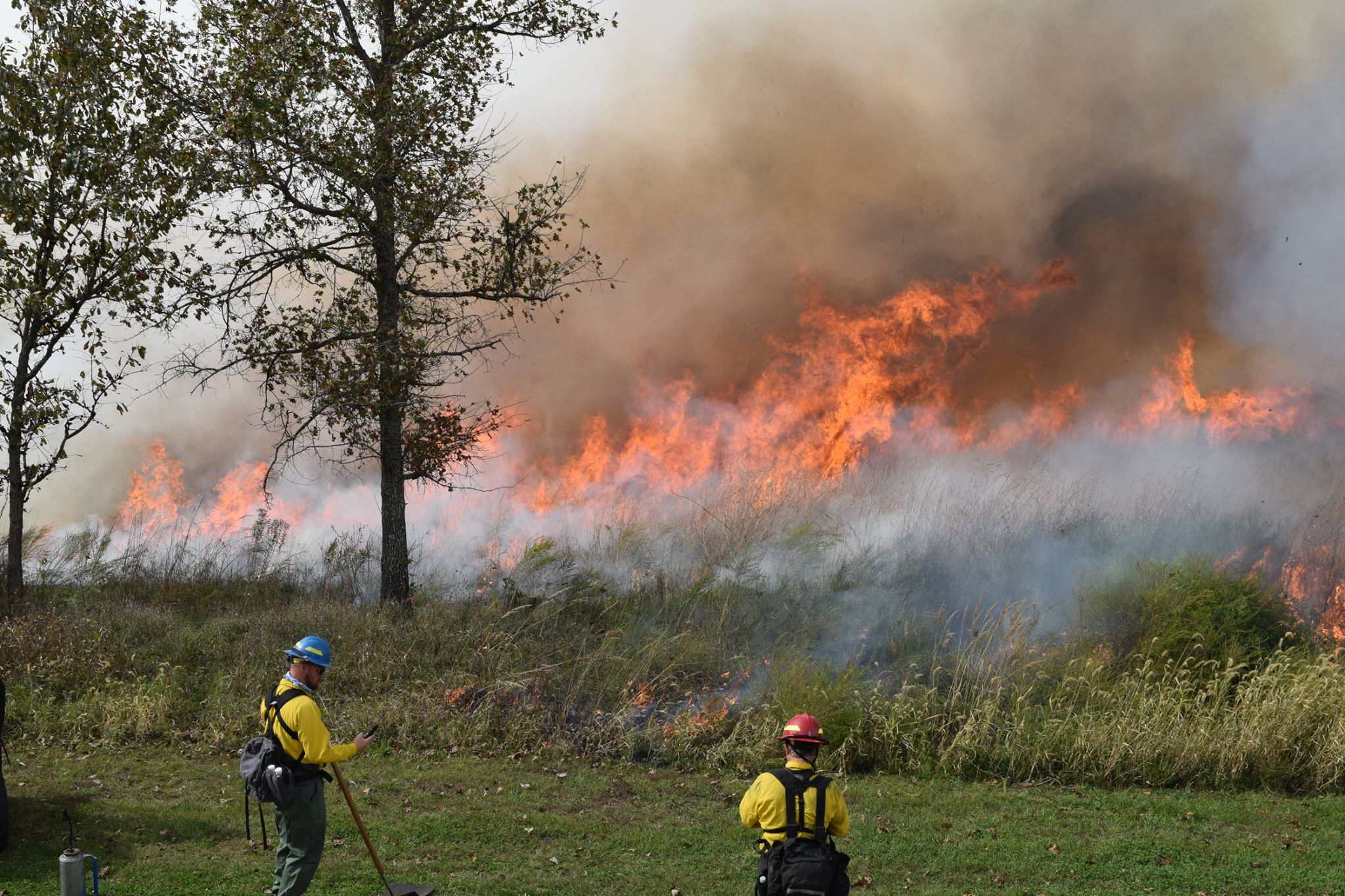 Wildland firefighters carefully monitor prescribed fires to contain them within established perimeters