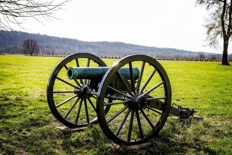 Cannon sits outside in field