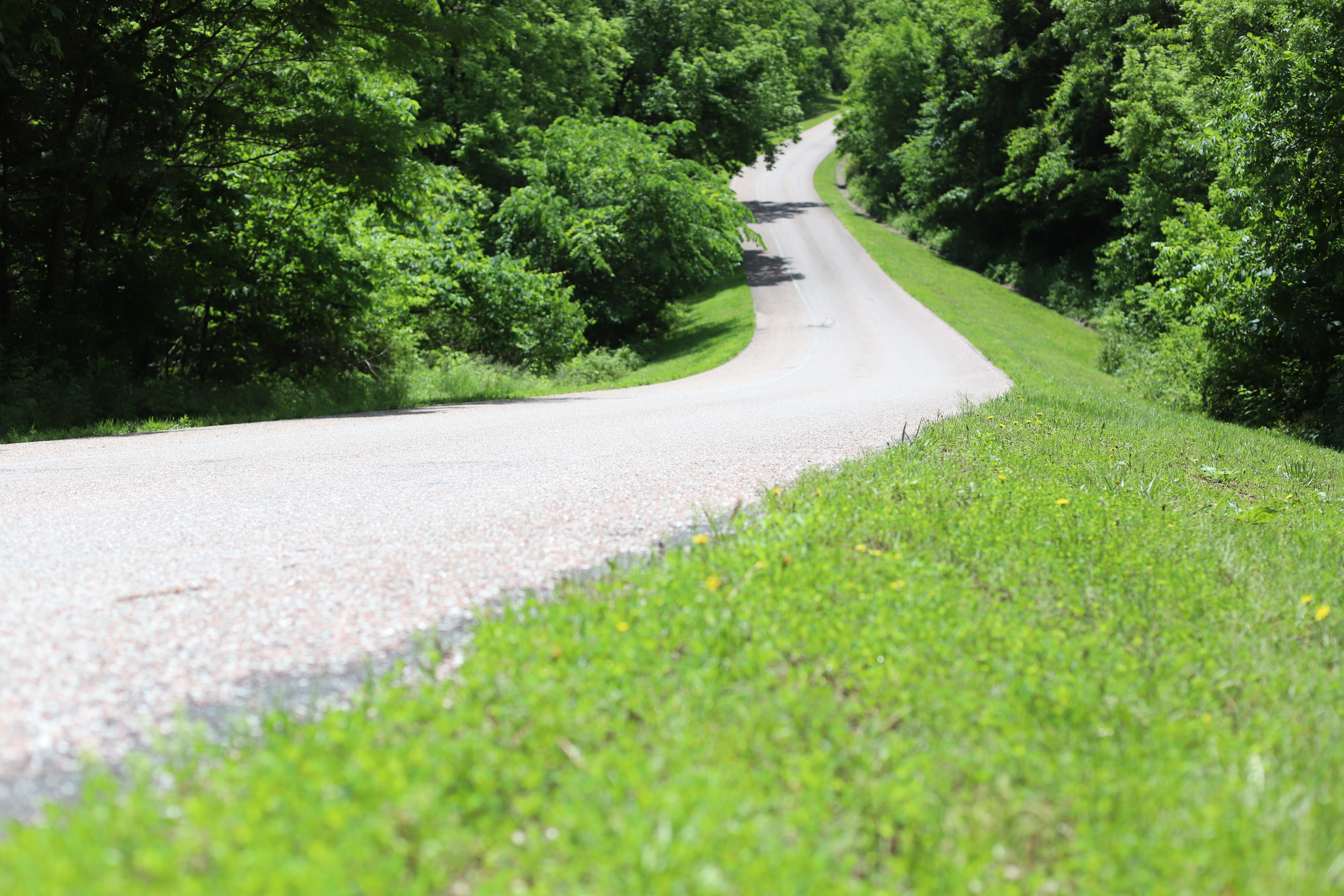 A section of road surrounded by trees and green grass