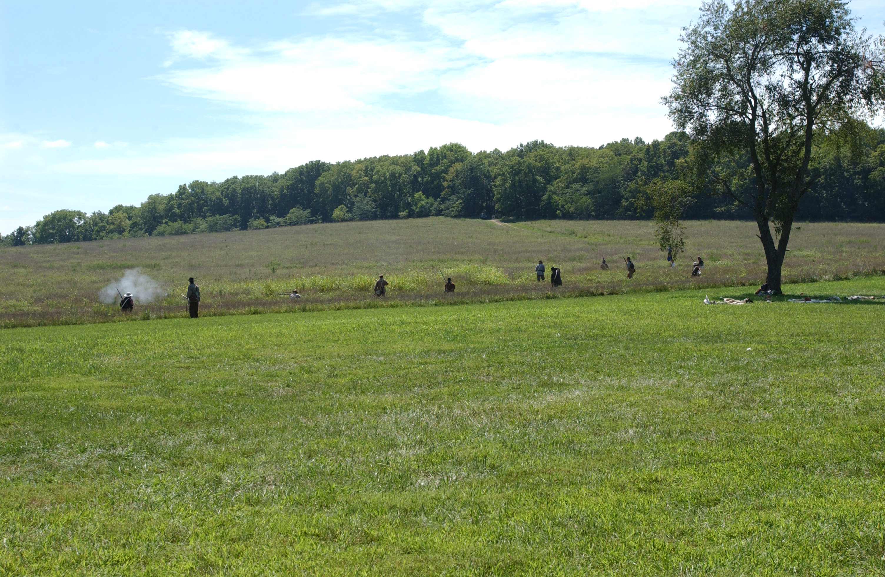 People in historic dress give demonstration with rifles in a field