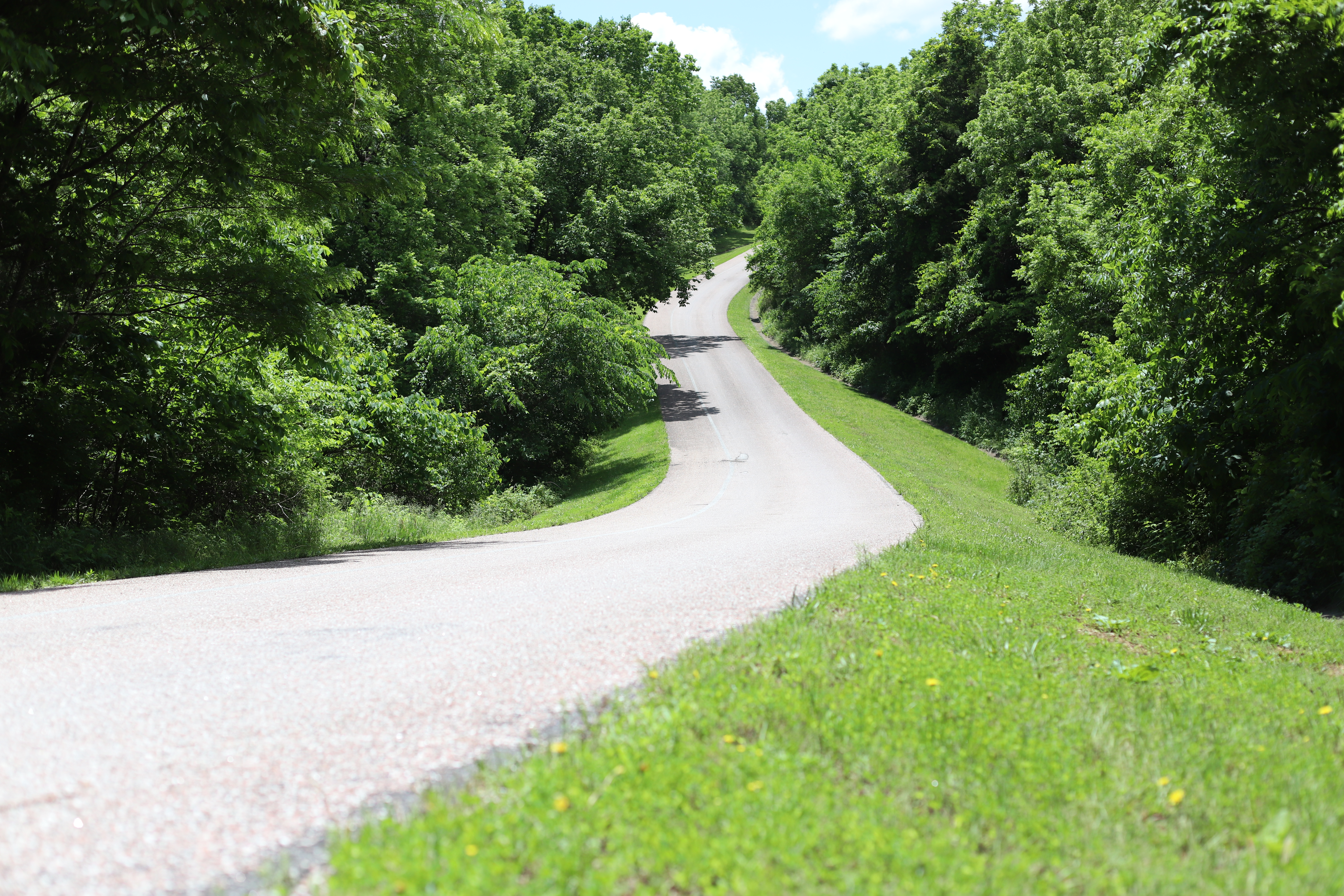 A one winding one lane road with green foliage on each side