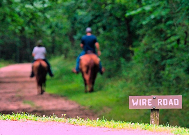 Two riders on horses out of focus in foreground. Wooden wire road sign in focus in the front.
