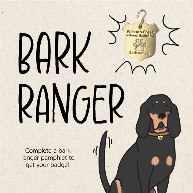 illustration of a red tick coon hound with the text "bark ranger. Complete a bark ranger pamphlet to get your badge!"