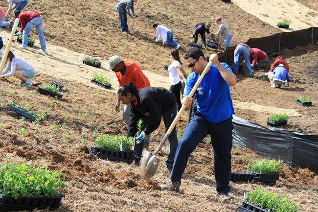 Volunteers work in the Native Plant Garden.