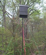 Bat box in the park Bat box in the park