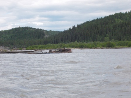 Bus in Copper River