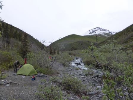 Camp on Strelna Creek