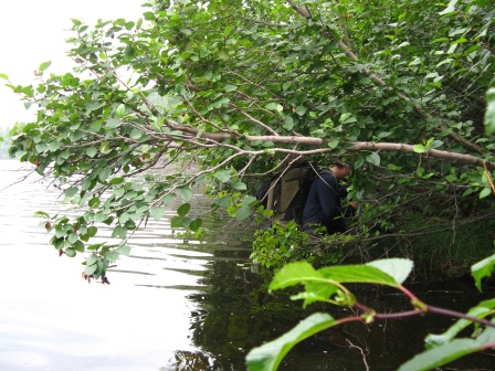 Lakeside bushwhacking